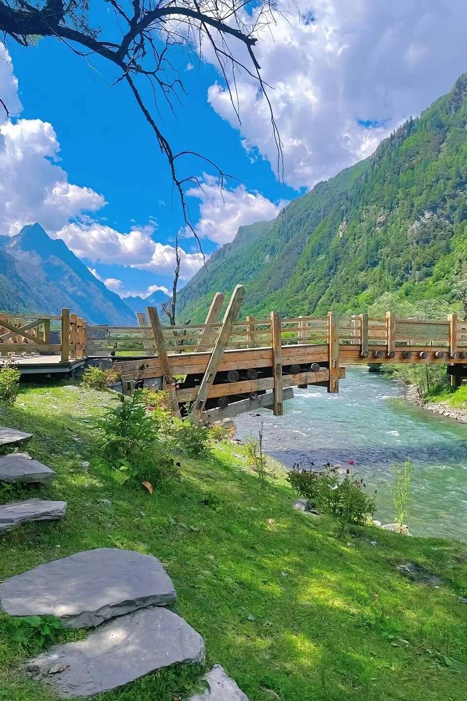 廈門(mén)至四川旅游報(bào)團(tuán)價(jià)格全解析 團(tuán)費(fèi)多少？魅力旅行如何不踩坑？